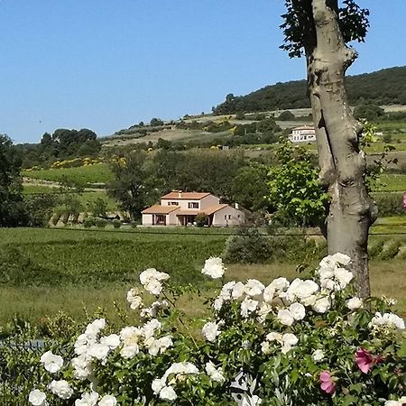 Domaine De Peilhan Roujan Εξωτερικό φωτογραφία