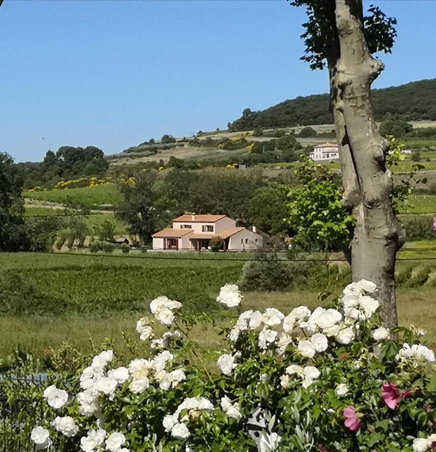 Domaine De Peilhan Roujan Εξωτερικό φωτογραφία