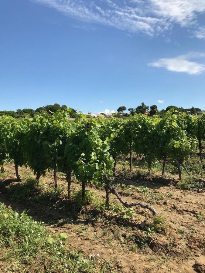 Domaine De Peilhan Roujan Εξωτερικό φωτογραφία
