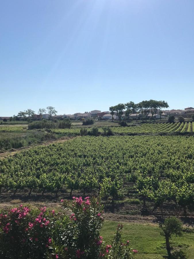 Domaine De Peilhan Roujan Εξωτερικό φωτογραφία